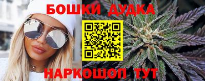 прущие крисы Можга
