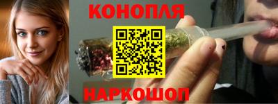 прущие крисы Можга