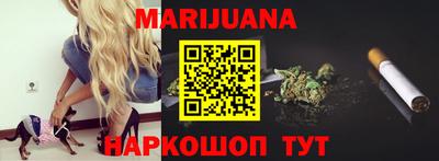 прущие крисы Можга